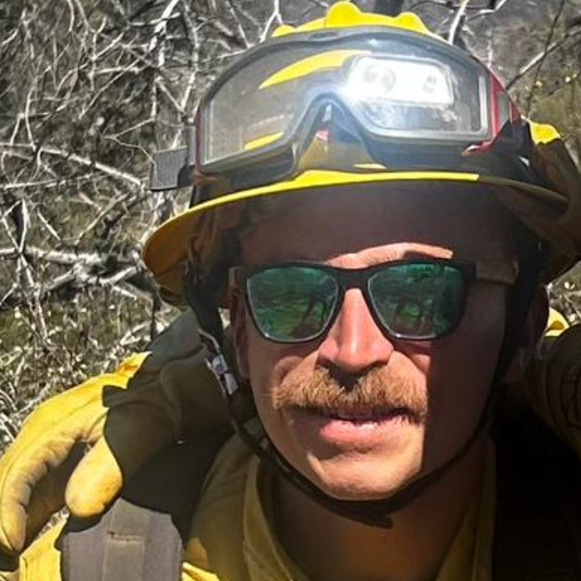 Person wearing a yellow helmet and sunglasses with a forest background